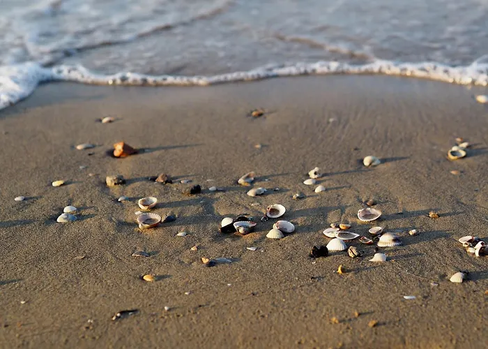 Apartmán With Garden And Barbecue 250m From The Sea *