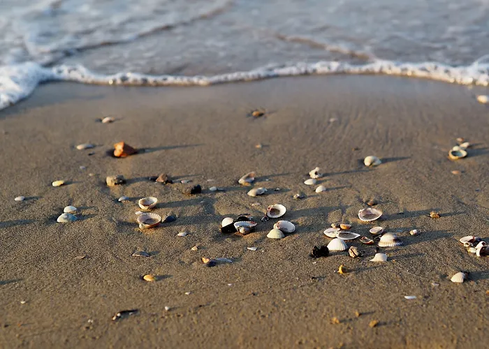 With Garden And Barbecue 250m From The Sea * Bibione